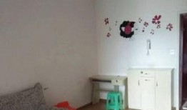 重庆精装房爆料事件最新,揭露装修陷阱，业主维权之路漫漫