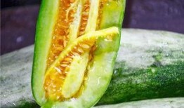 网红吃瓜5,揭秘娱乐圈幕后真相，带你领略明星们的真实生活