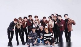 老王爆料小智视频大全,小智视频大全背后的精彩故事