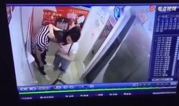 哈哥被爆料视频播放全集,真相与争议交织